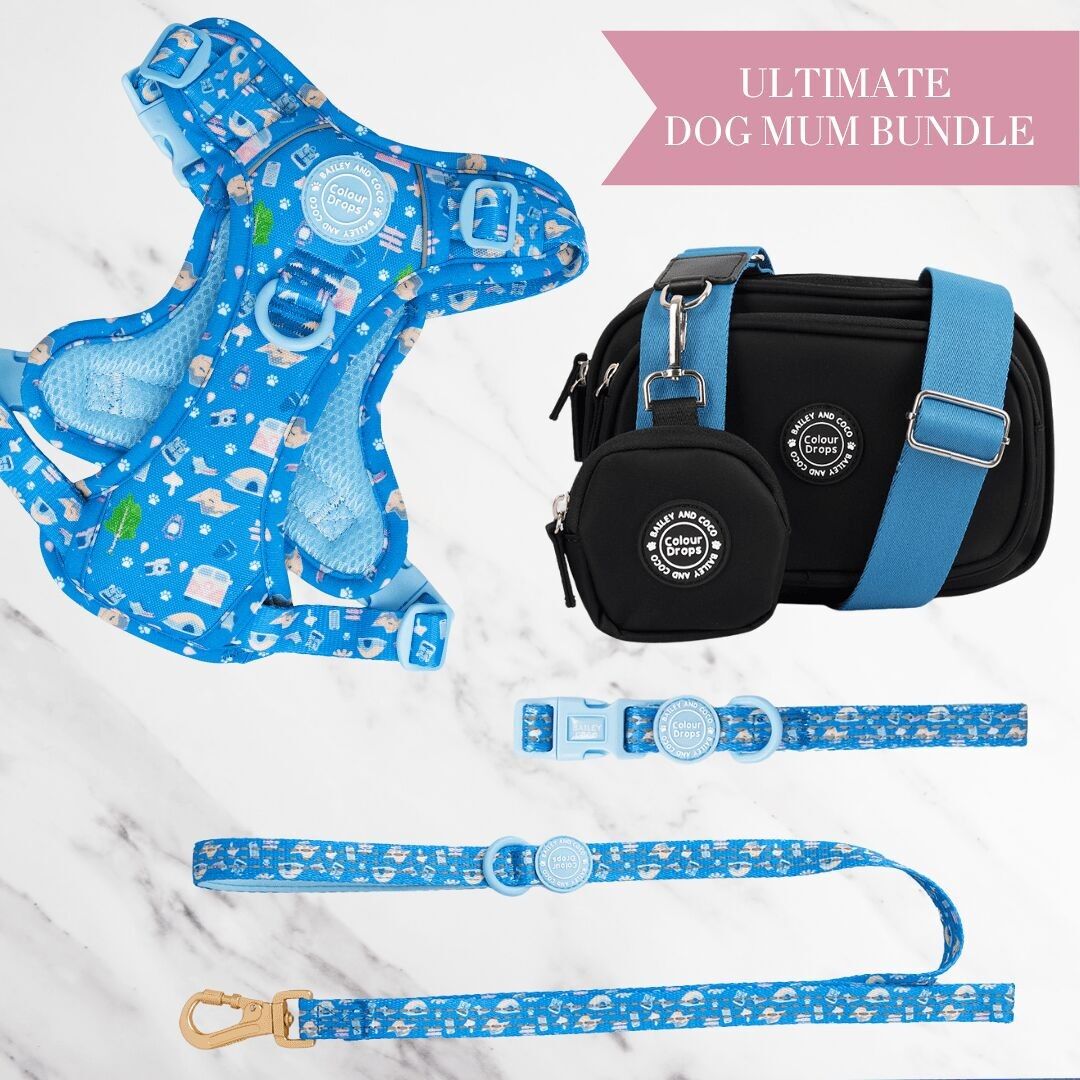 Arnés ajustable para perros, correa, collar y bolsa de paseo Pitch, Please