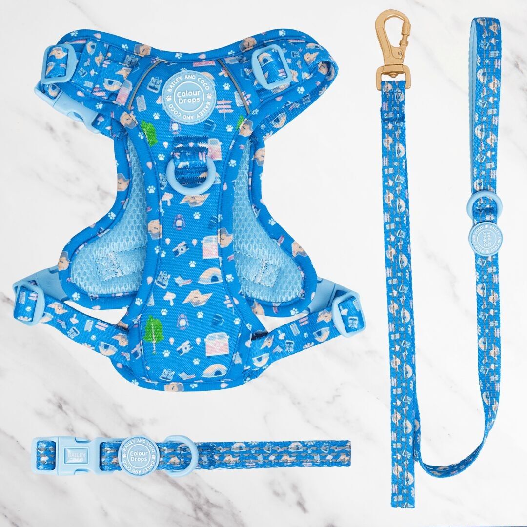 Arnés, correa y collar ajustables para perros Pitch Please
