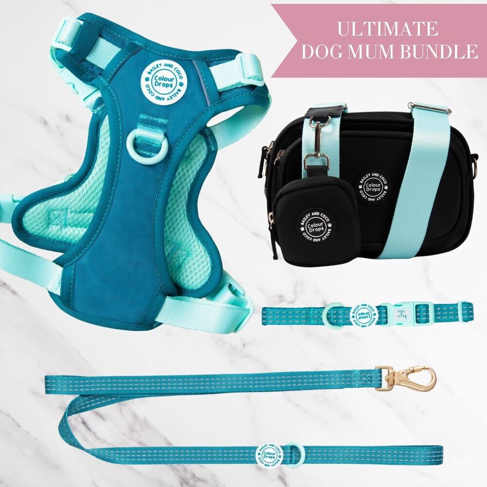 Arnés ajustable para perro, correa, collar y bolsa de paseo en color verde azulado