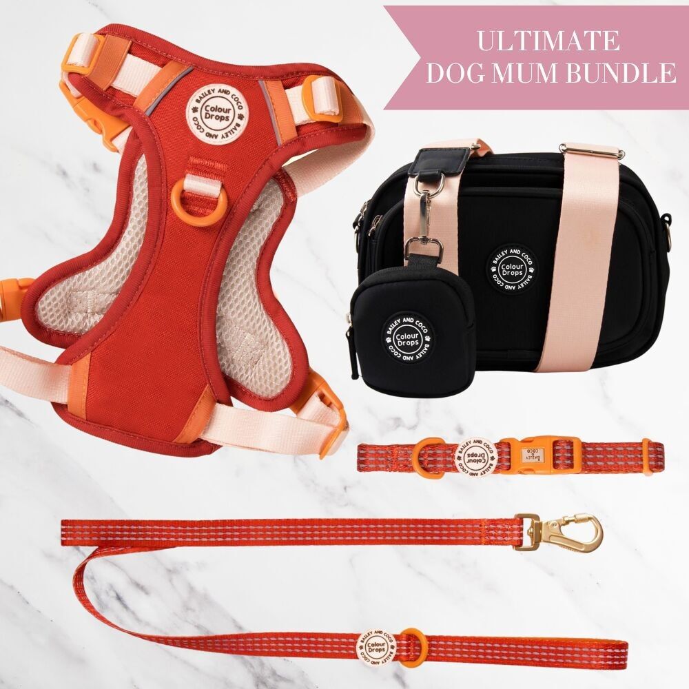 Set di pettorina regolabile per cani Spice it Up, guinzaglio, collare e borsa per passeggiate con il cane