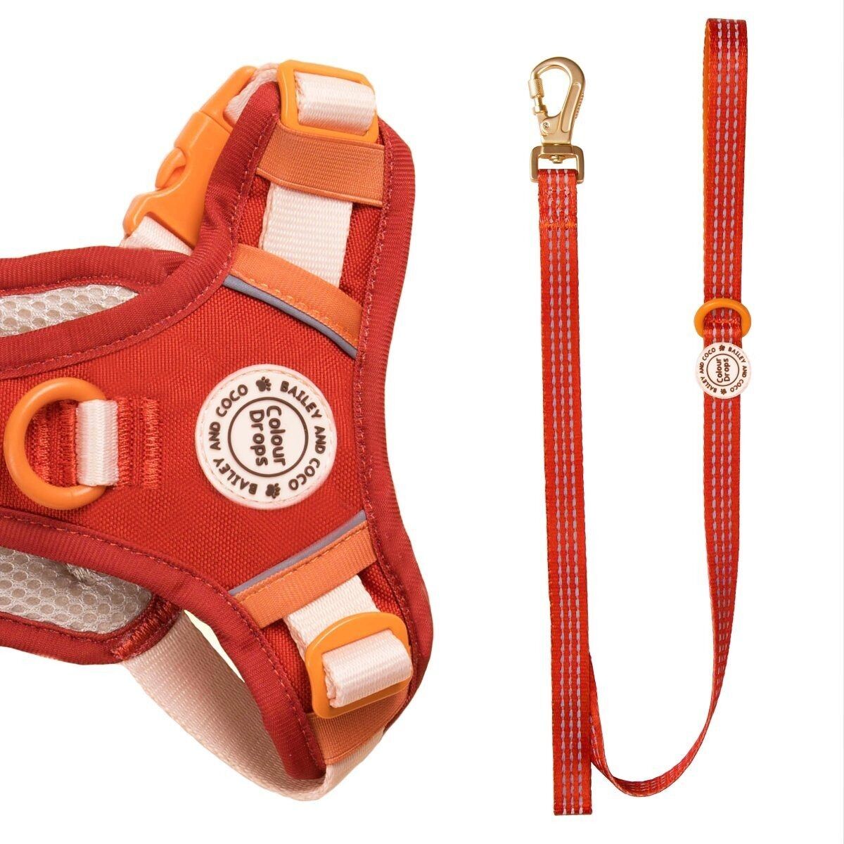 Guinzaglio per cani Trail & Glow® 5 piedi - COLOUR DROPS® - Ravviva il tuo look