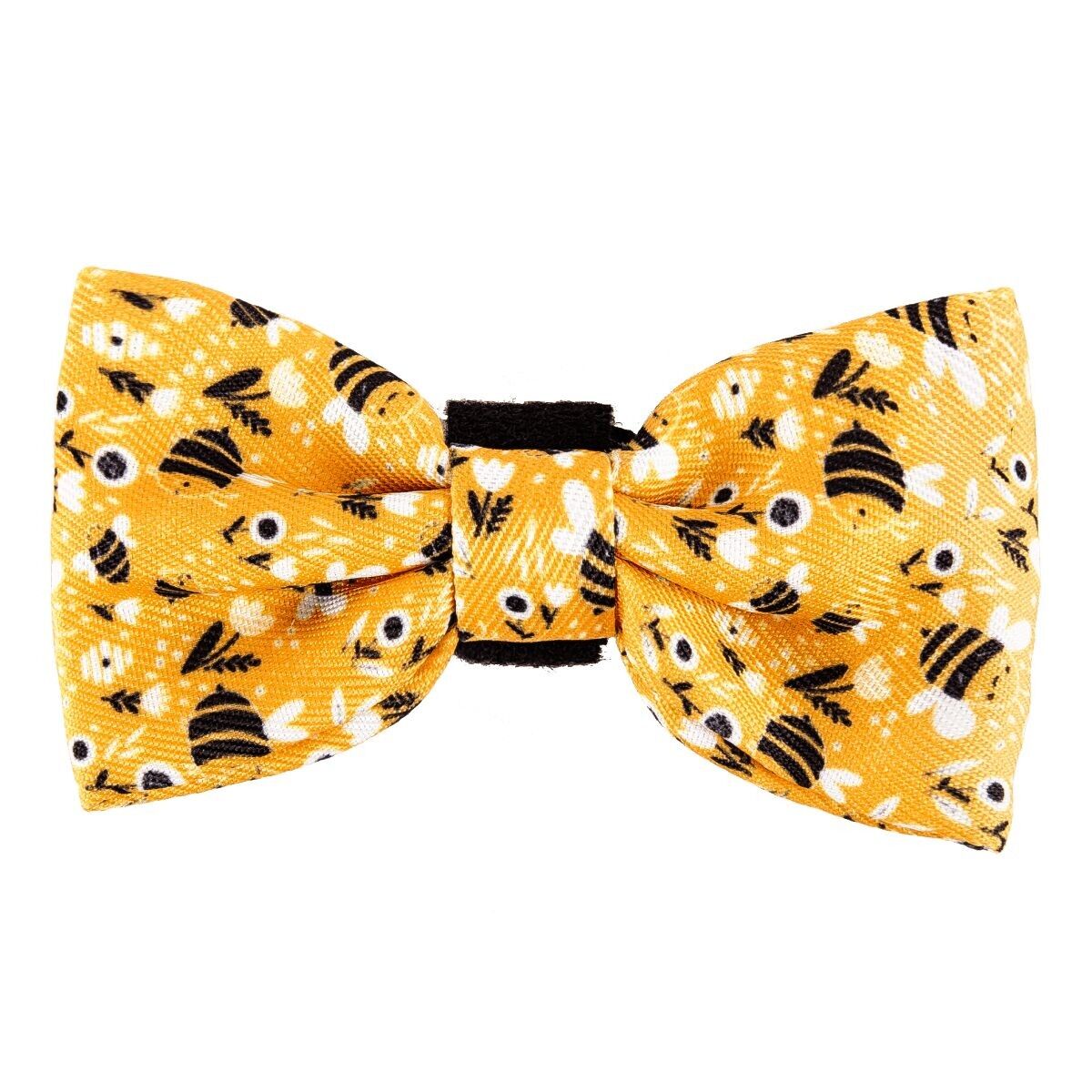 Papillon - Wanna-Bee