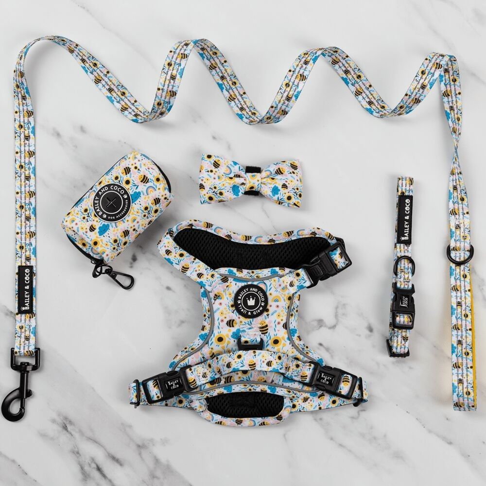 Conjunto de arnés Trail & Glow® - Wanna-Bee II