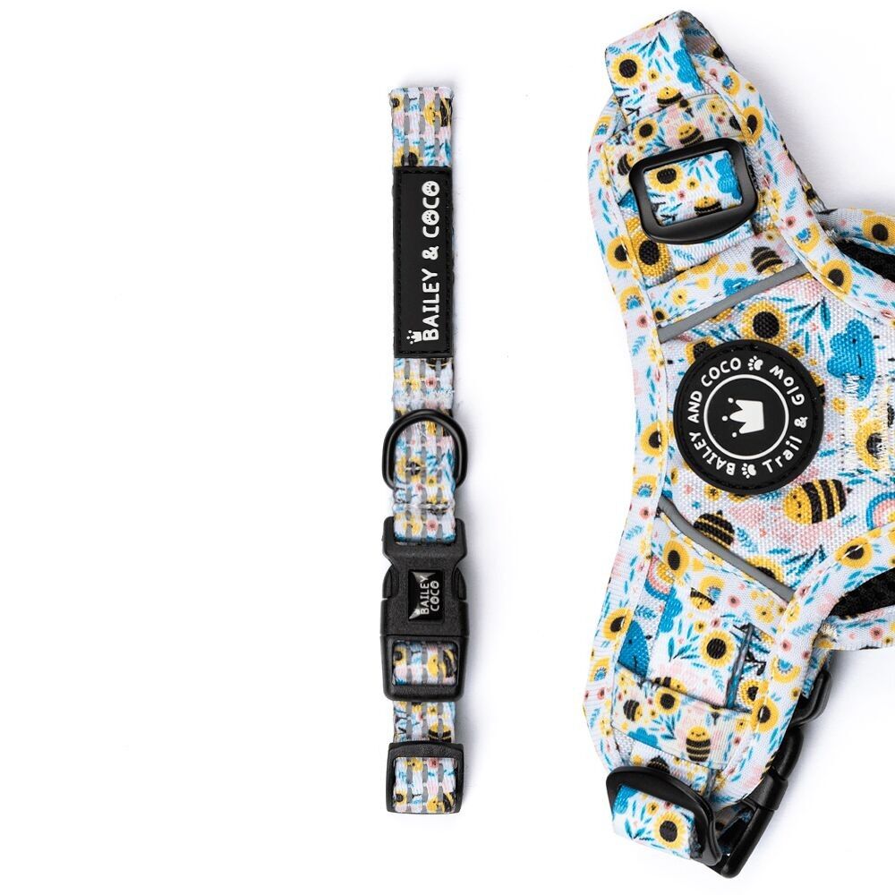 Collare Trail & Glow® - Wanna-Bee II