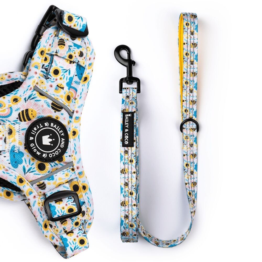 Correa de tela para perros Trail & Glow® de 1,5 m - Wanna-Bee II