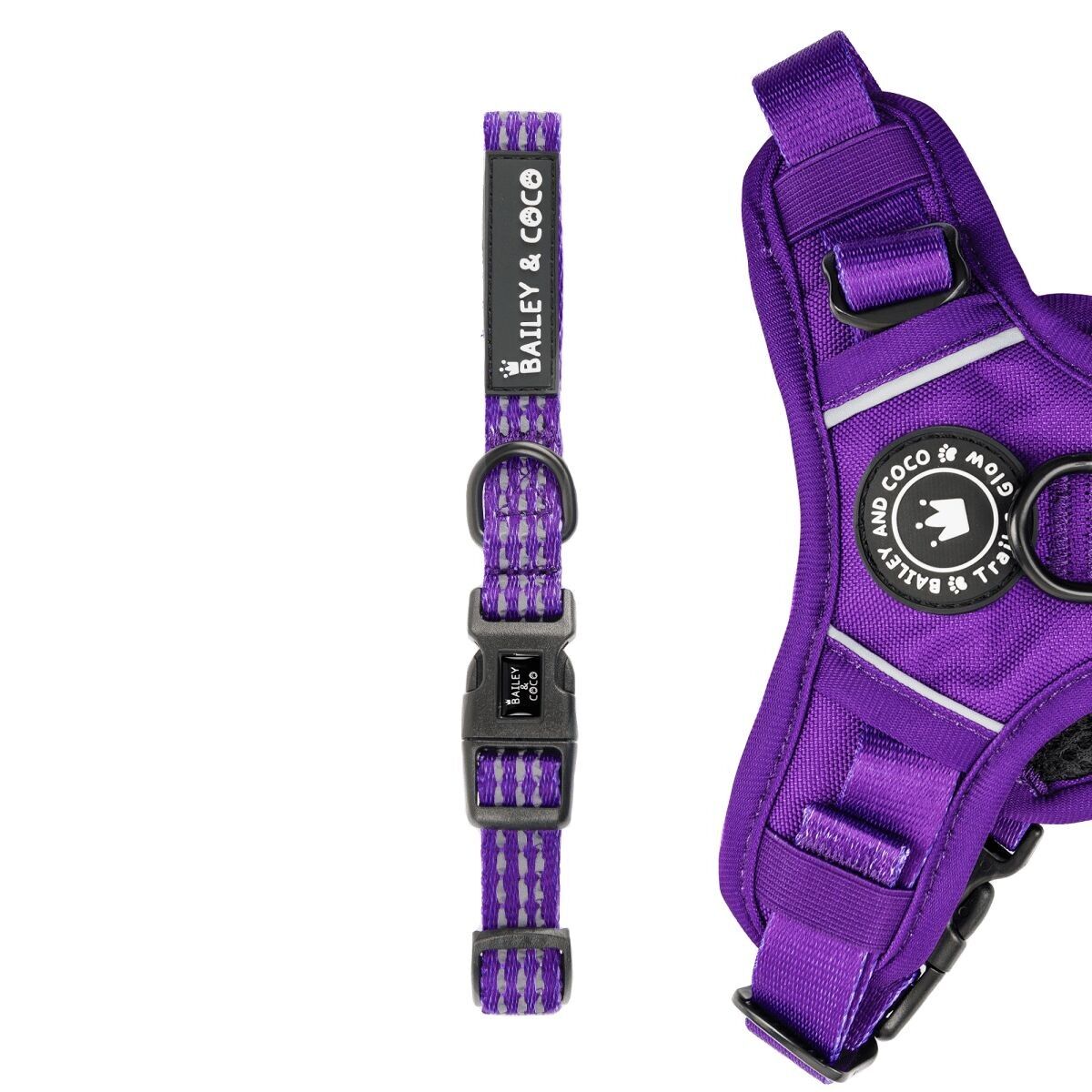 Collare Trail & Glow® - The Royal Purple One