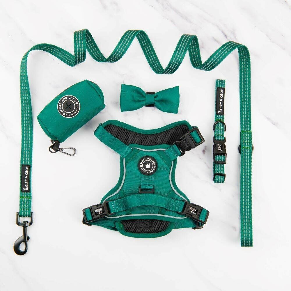 Set di imbracature Trail & Glow® - The Emerald Green One