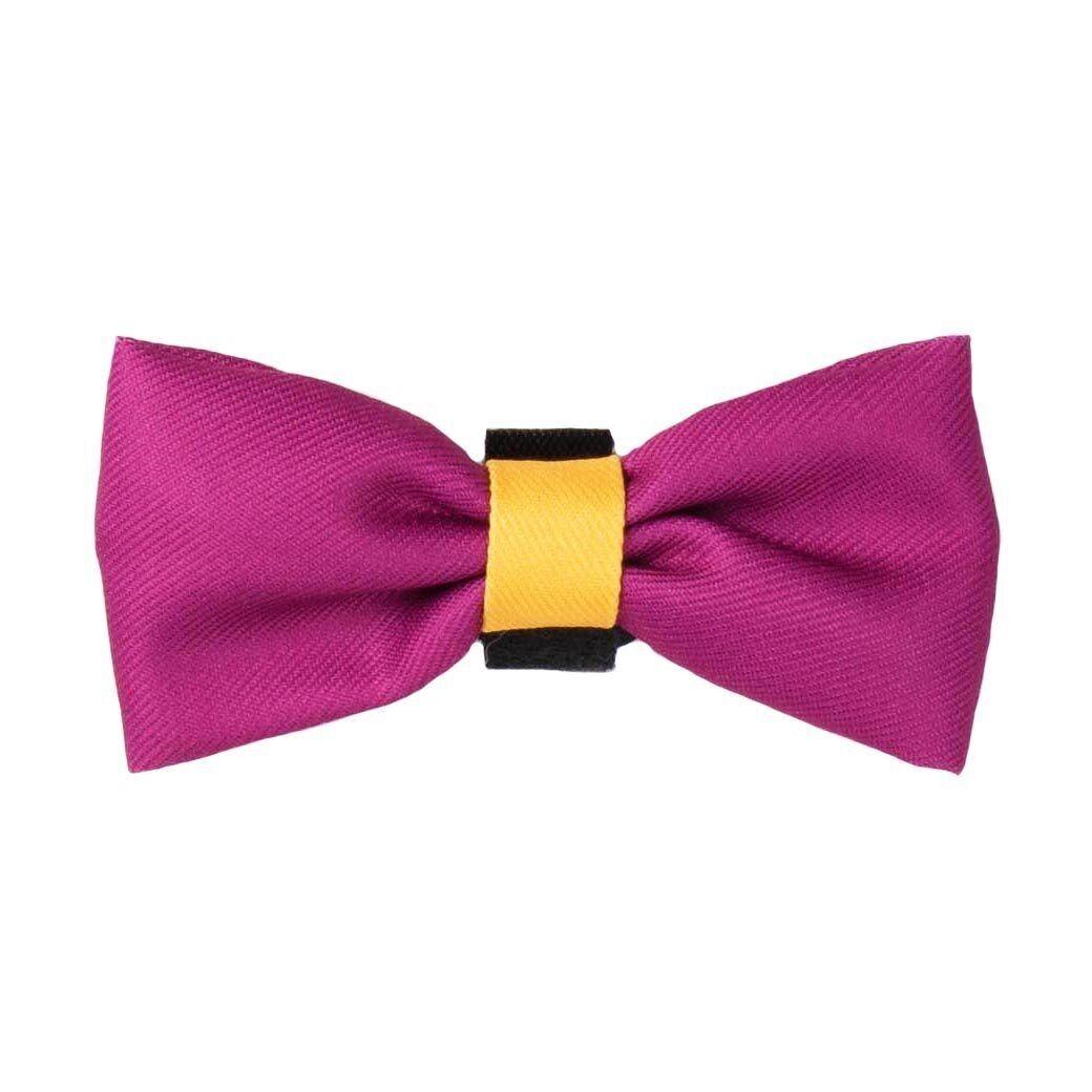 Papillon - COLOUR DROPS® - Stiamo suonando