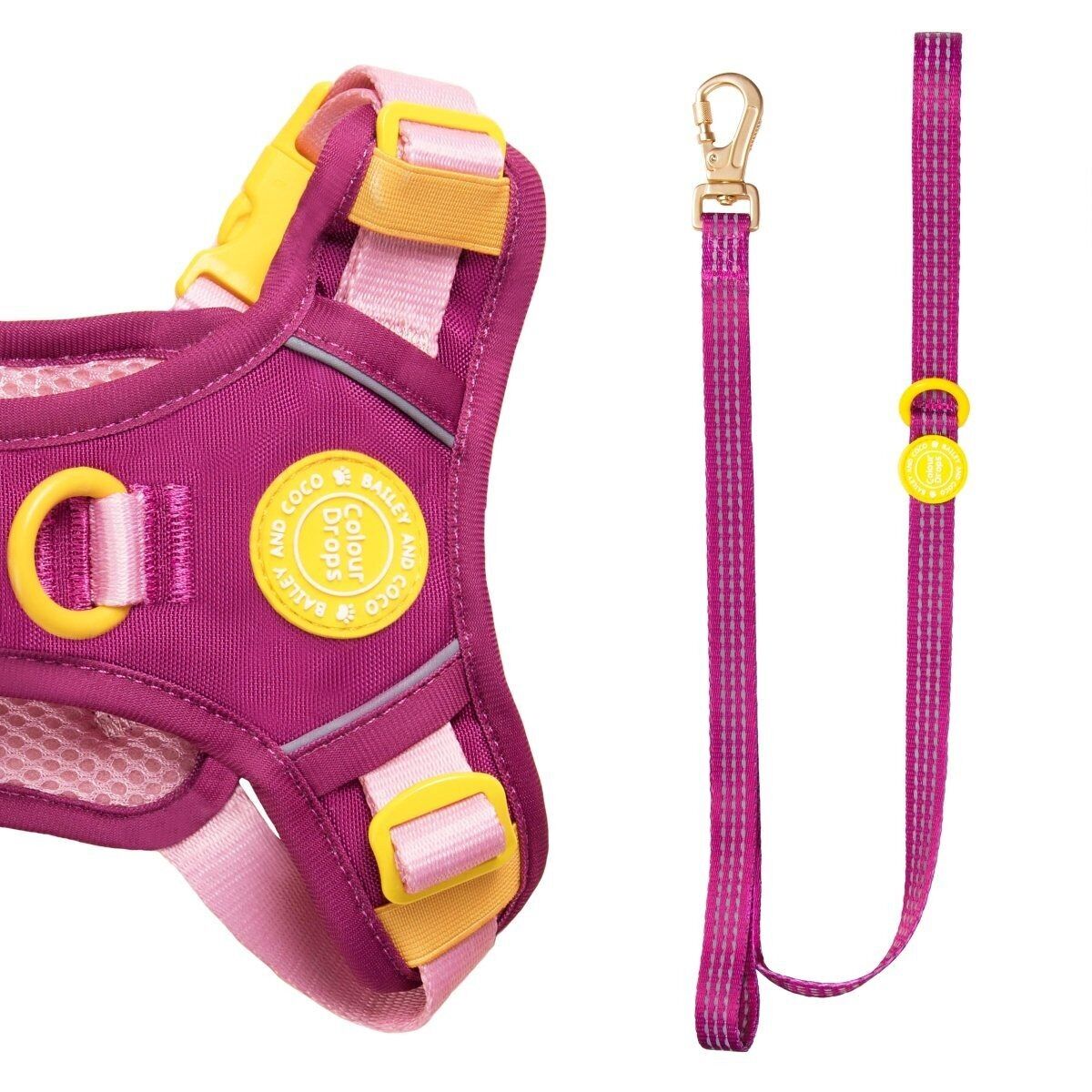 Guinzaglio per cani Trail & Glow® 5 piedi - COLOUR DROPS® - We're Jammin'