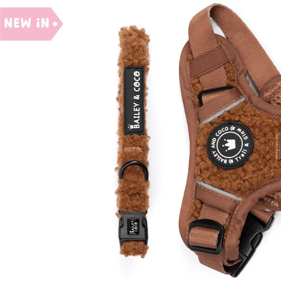 Collare regolabile - Orsacchiotto