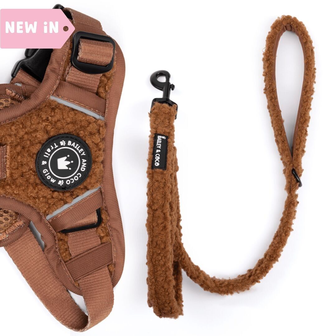 Correa de tela para perro de 1,5 m - Osito de peluche