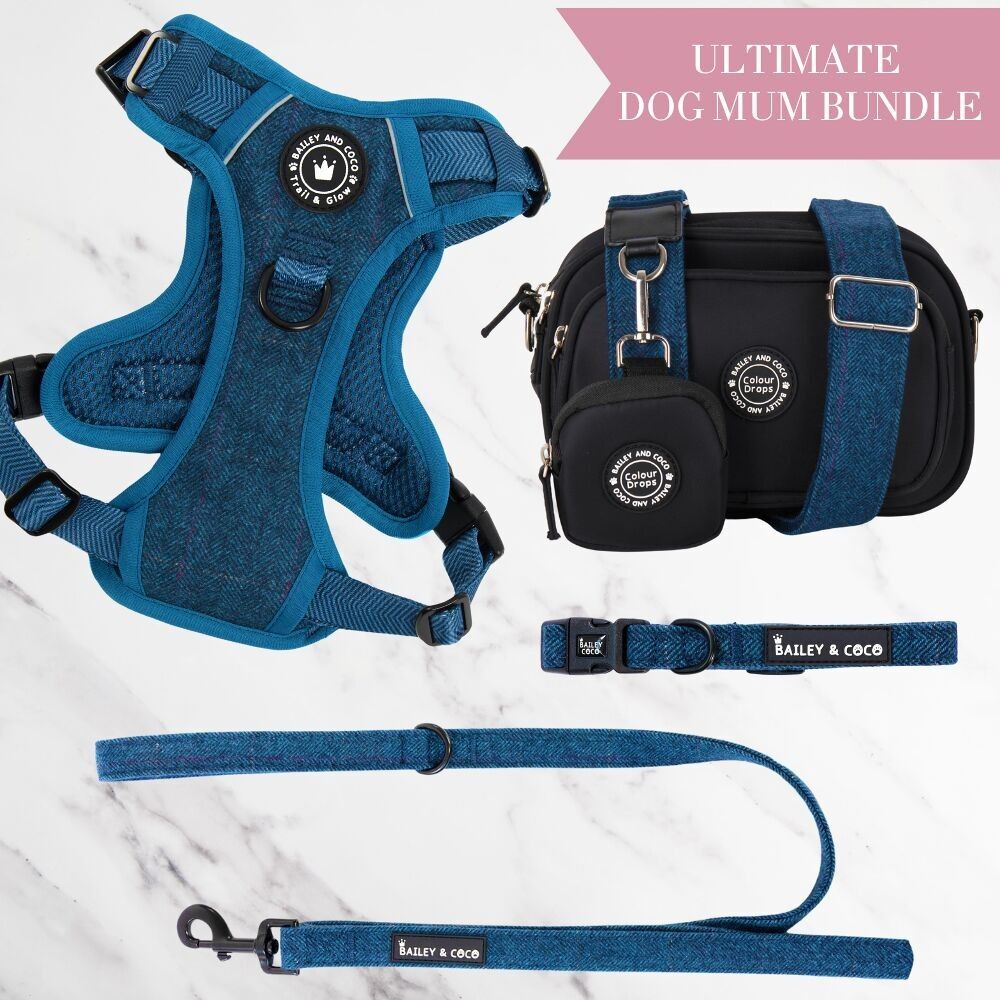 Set di pettorina regolabile per cani in tweed zaffiro, guinzaglio, collare e borsa per passeggiate