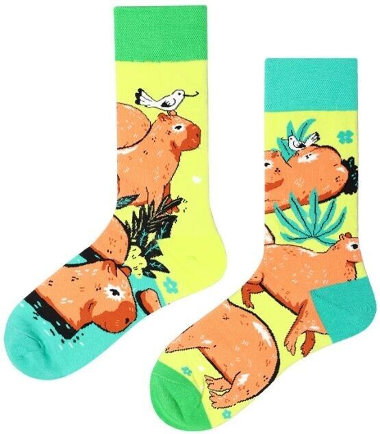 S-H5.1 paio di calzini SOCK2512-087 taglia 38-45 Capibara