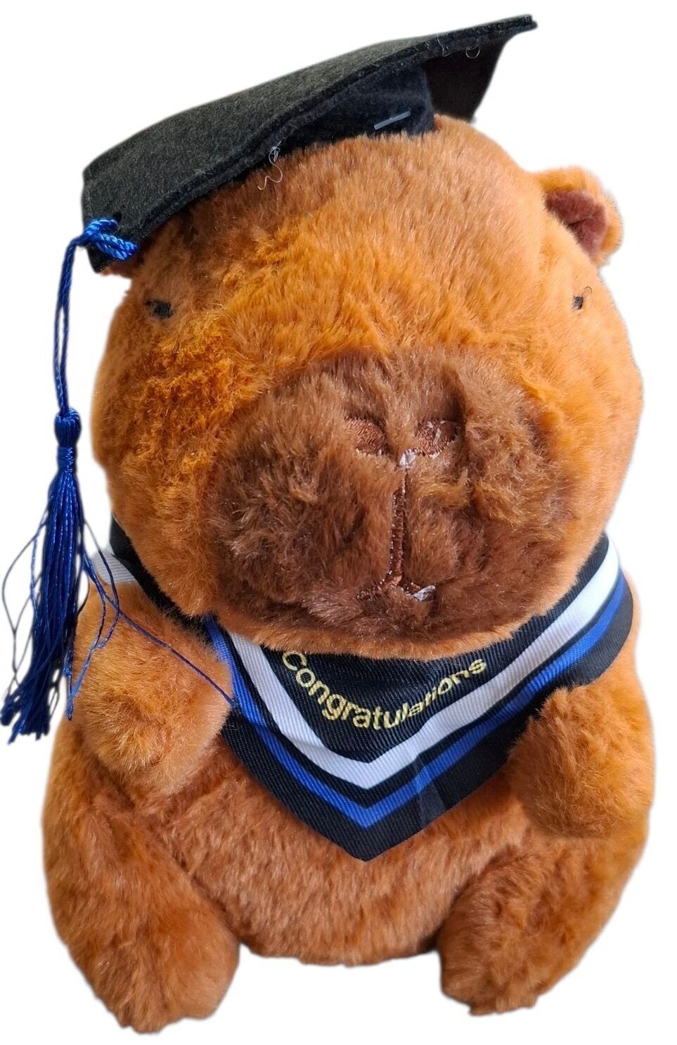 Y-D3.3 TOY939-024 Peluche Carpincho Estudiante 21cm