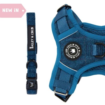 Adjustable Collar - Sapphire Tweed