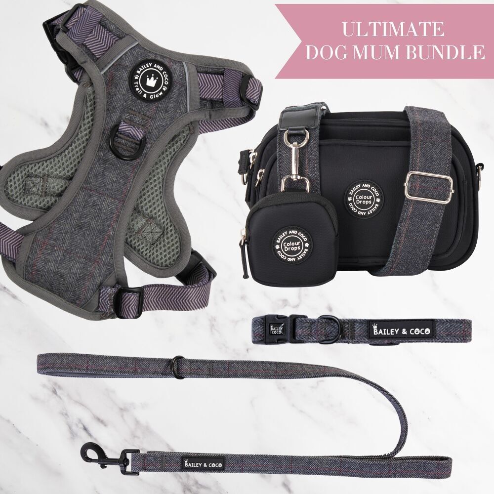 Set di pettorina regolabile per cani in tweed ardesia, guinzaglio, collare e borsa per passeggiate con il cane