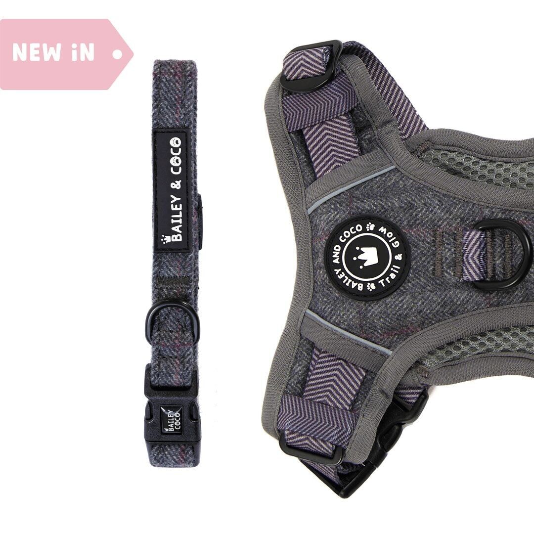 Colletto regolabile - Tweed ardesia