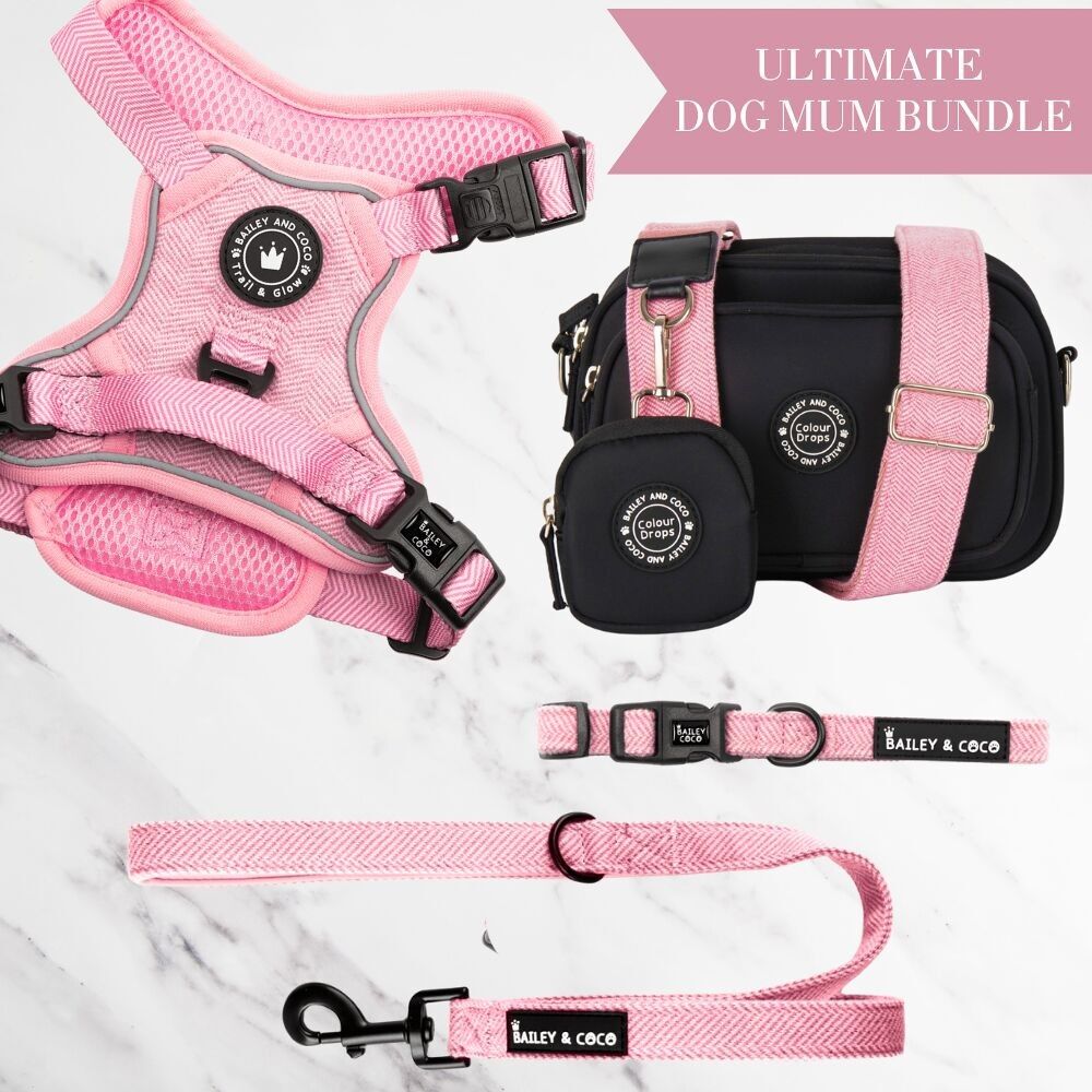 Set di pettorina regolabile per cani Bubblegum Tweed, guinzaglio, collare e borsa per passeggiate