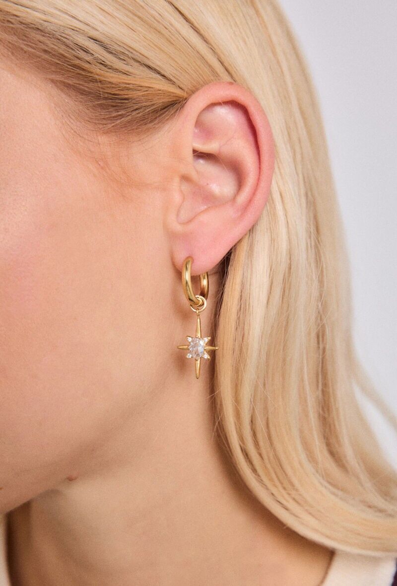 Orecchini in acciaio inossidabile 124AQ501