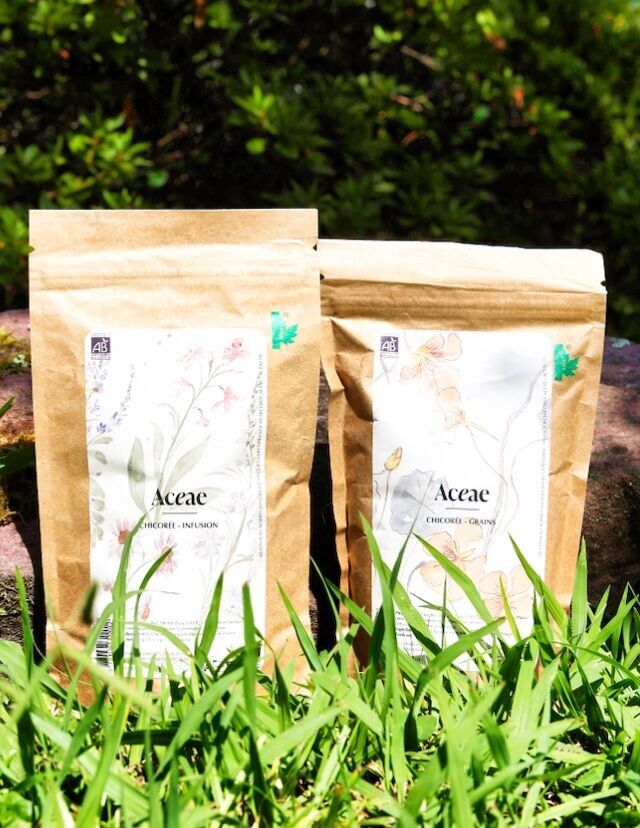 Grains & Infusion Pack – The Authentic Chicory