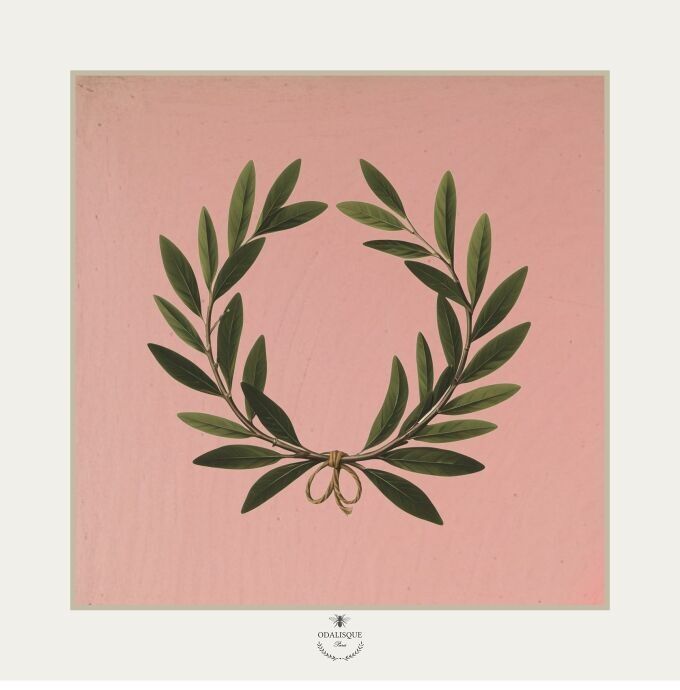 La corona de laurel - ilustración 18x18 cm