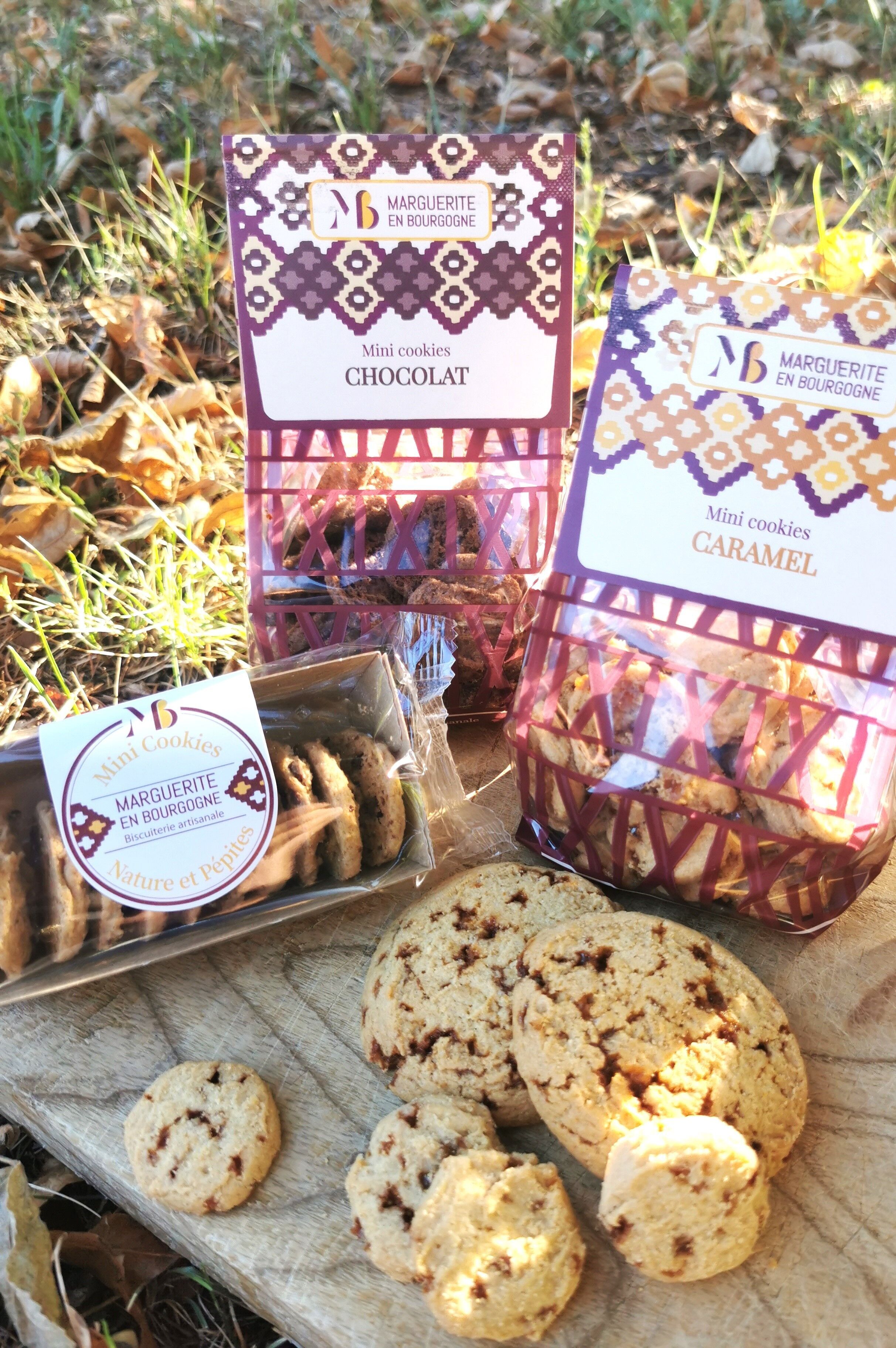 NOVITÀ - Mini biscotti biologici semplici e gocce di cioccolato - Confezione da 110 g