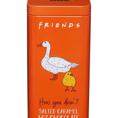 Friends Salted Caramel Hot Chocolate Tin