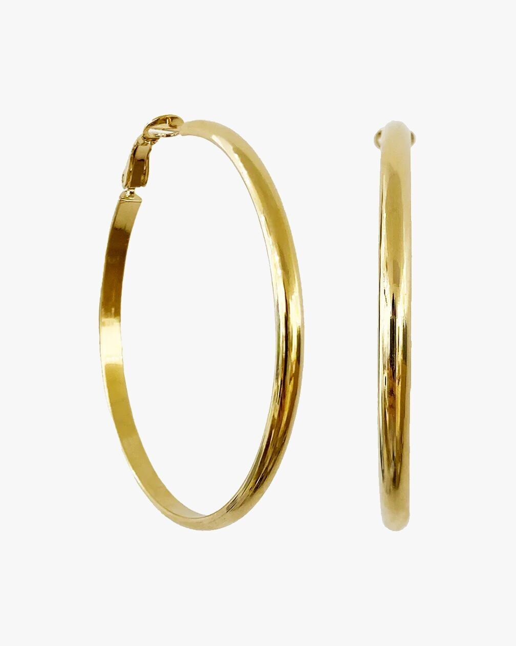 CRIOLLOS DEL BUCLE DORADO