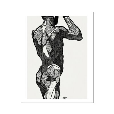 Anatomical Study 1 Fine Art Print