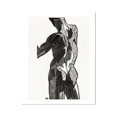 Anatomical Study 2 Fine Art Print