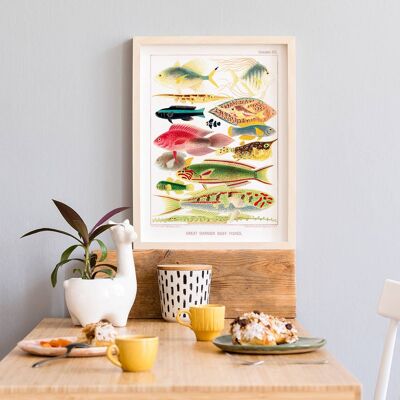 Barrier Reef Fish 2 Art Print