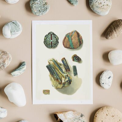 Gemstone Plate 2 Art Print