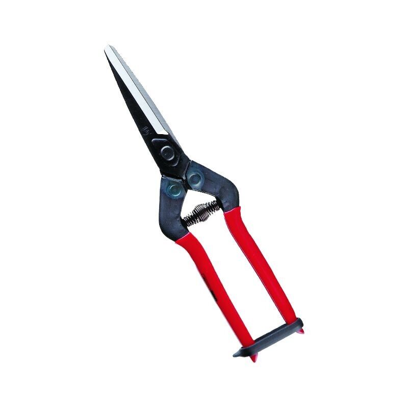 Professional Japanese Harvesting Scissors 210mm – Lightweight & Precise
