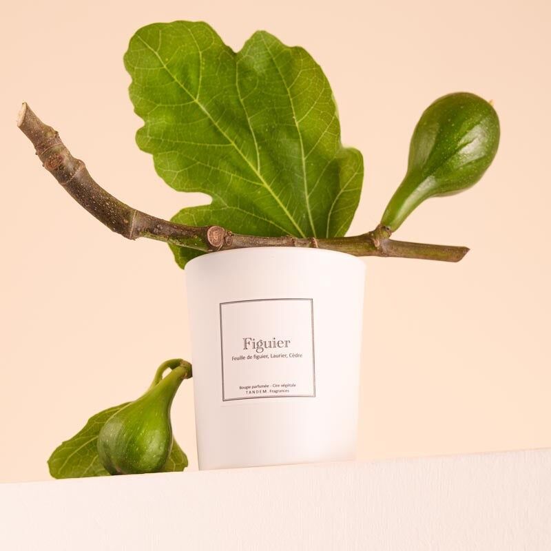 Fig Tree Scented Candle - 100% vegetable wax - Grasse fragrance - White glass 180g/40h burning time