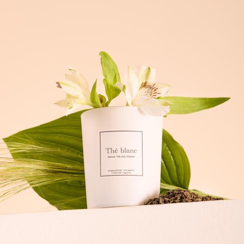 White Tea Scented Candle - 100% vegetable wax - Grasse fragrance - White glass 180g/40h burning time