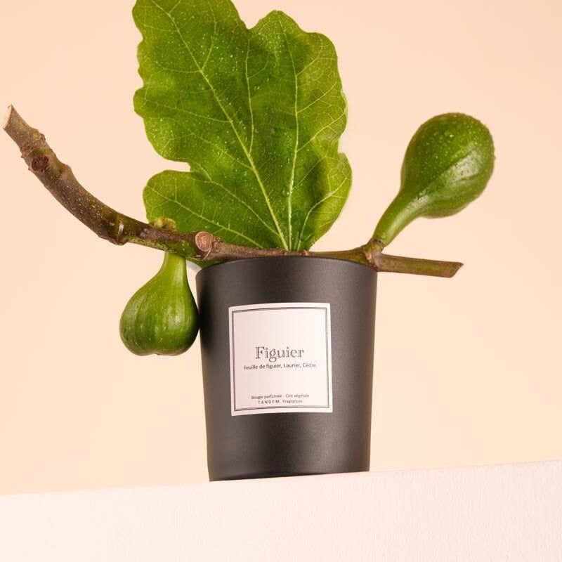 Fig Tree Scented Candle - 100% vegetable wax - Grasse fragrance - Black glass 180g/40h burning time