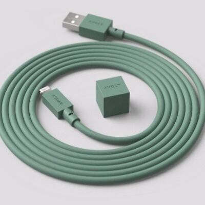 Câble 1 USB A vers Lightning, 1,7 m Vert