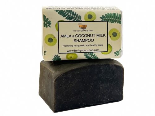 Amla And Coconut Milk Solid Shampoo Bar 120g 