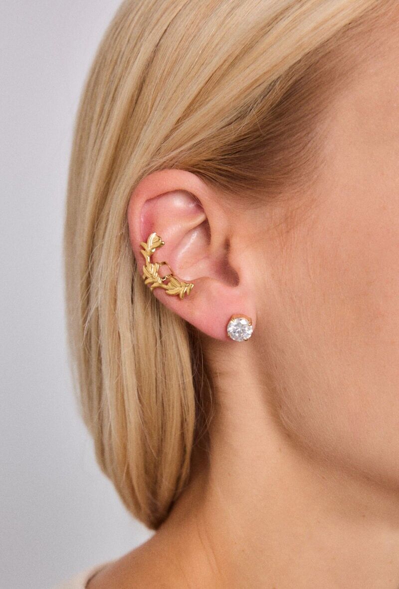 Orecchini in acciaio inossidabile 124RX163