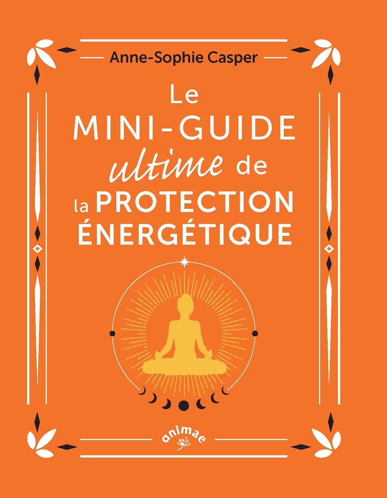 Buch: Der ultimative Mini-Leitfaden zum Energieschutz
