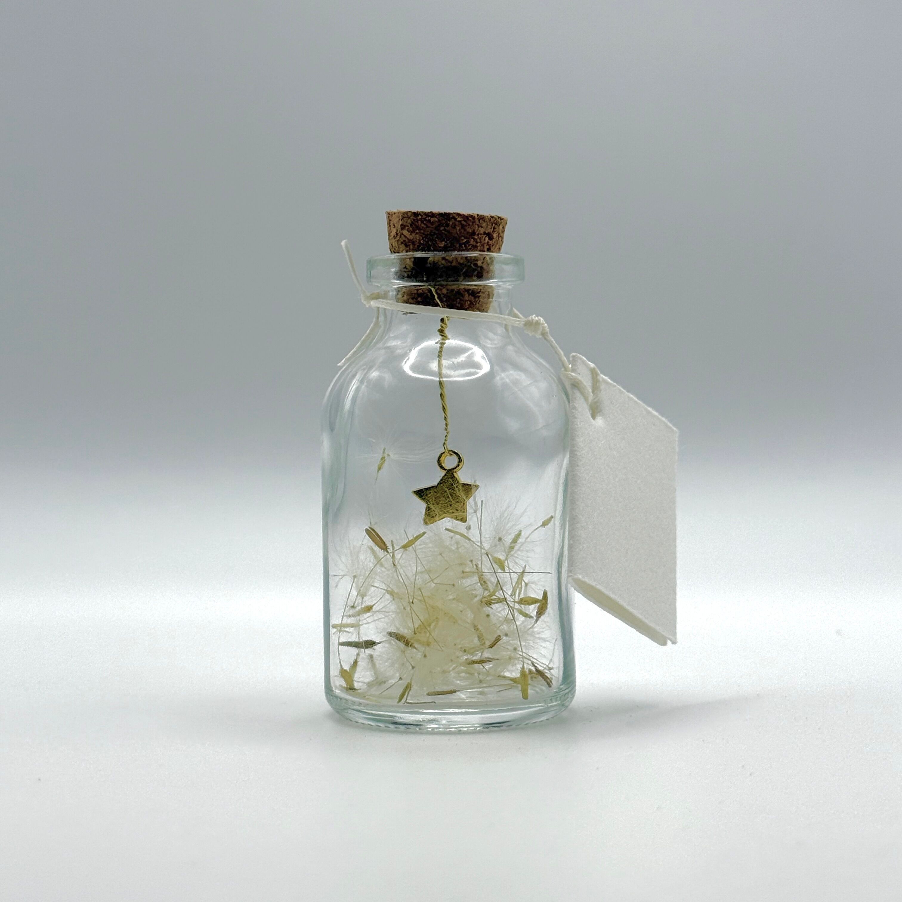 Piccole bottiglie poetiche - Stelle e semi di tarassaco - Set da 12