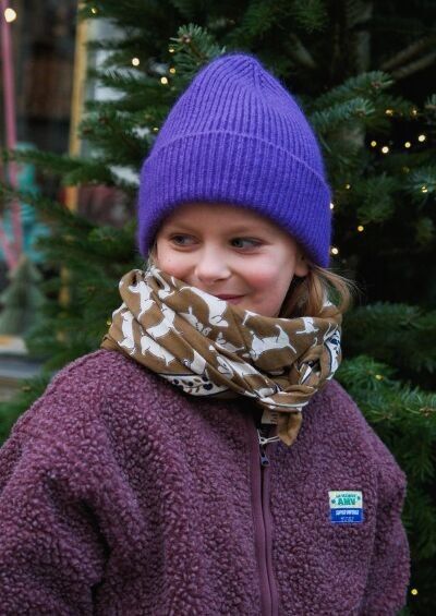 Bufanda caqui para perro salchicha adulto