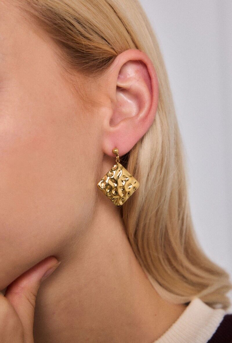 Orecchini in acciaio inossidabile 124RX198