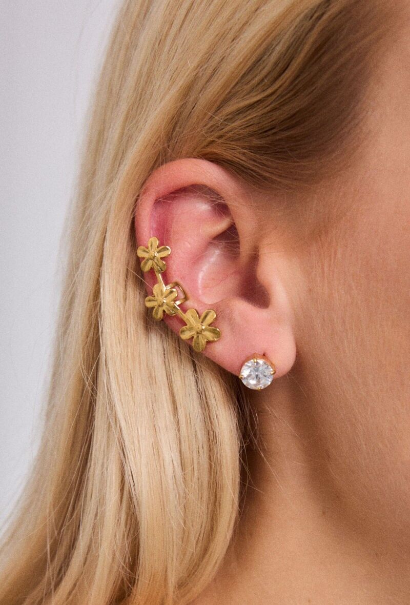 Orecchini in acciaio inossidabile 124RX204