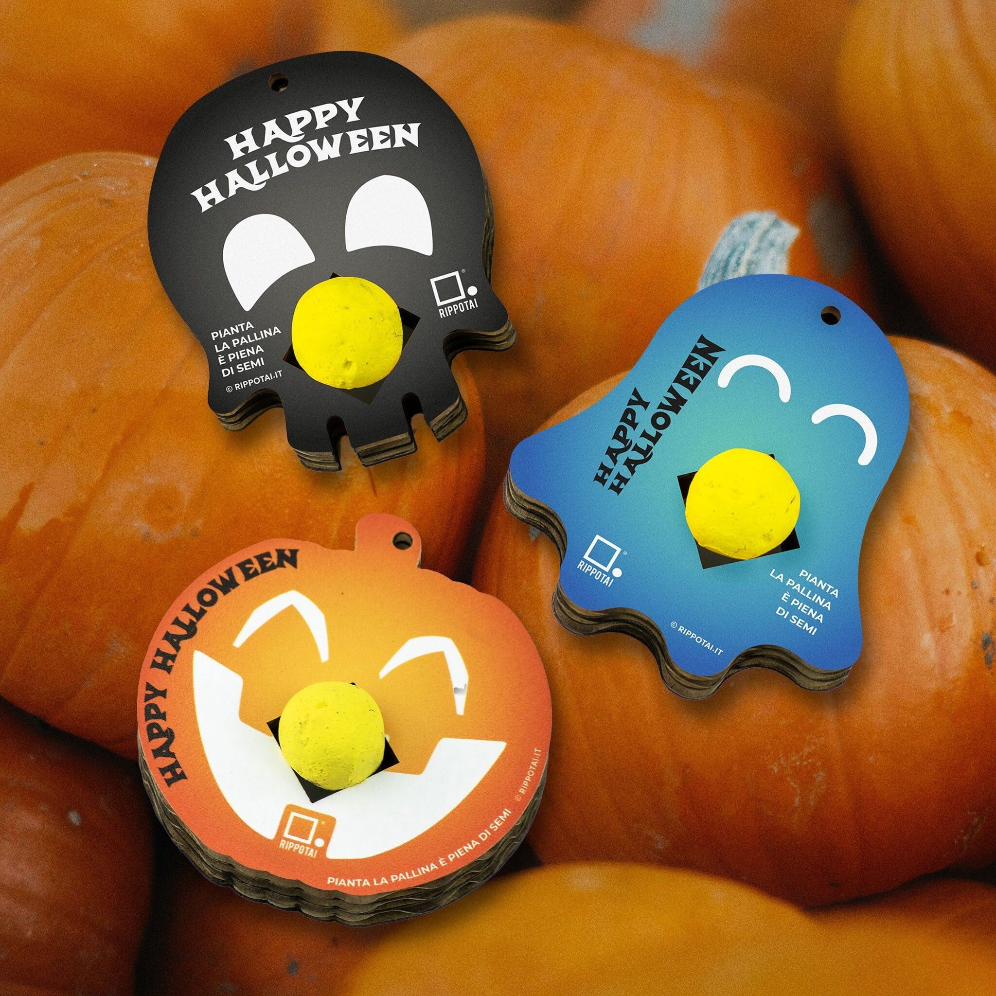 Kit Gadget Halloween con Bombas de Semillas - Llaveros Ecológicos y Sostenibles