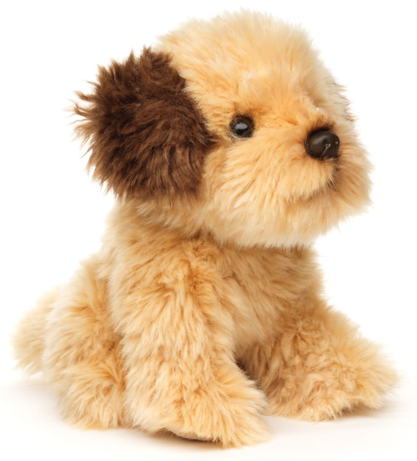 Shih Tzu Doodle, seduto - 18 cm (altezza) - Parole chiave: cane, Shih Tzu, barboncino, animale domestico, peluche, giocattolo morbido, giocattolo di peluche, peluche