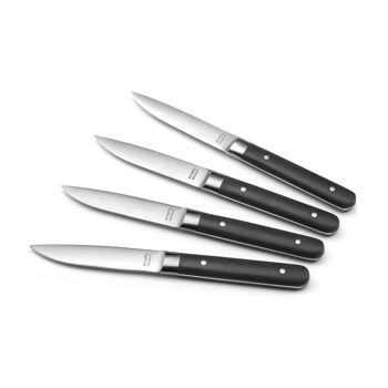 Fusion - Coffret 4 couteaux steak-AMEFA 7