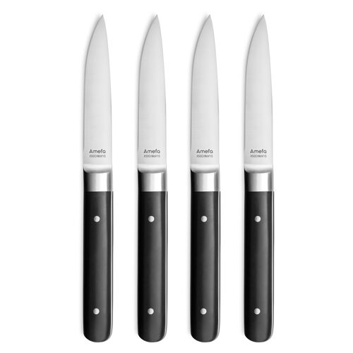 Fusion - Coffret 4 couteaux steak-AMEFA