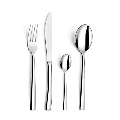 Havana - 49 piece cutlery set-AMEFA