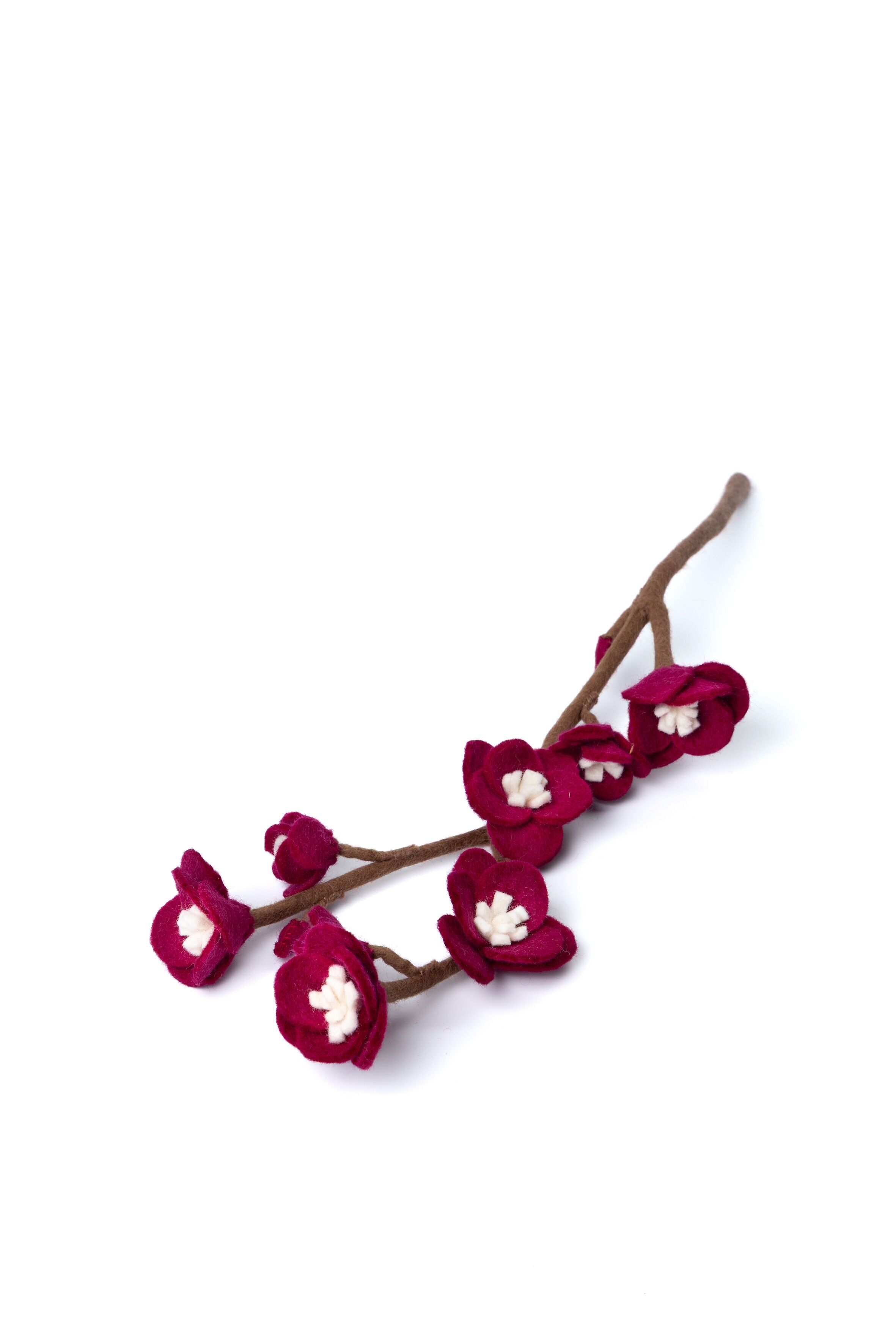 Kirschblüten-Aubergine (10E-CHER-BLSM-AUB)